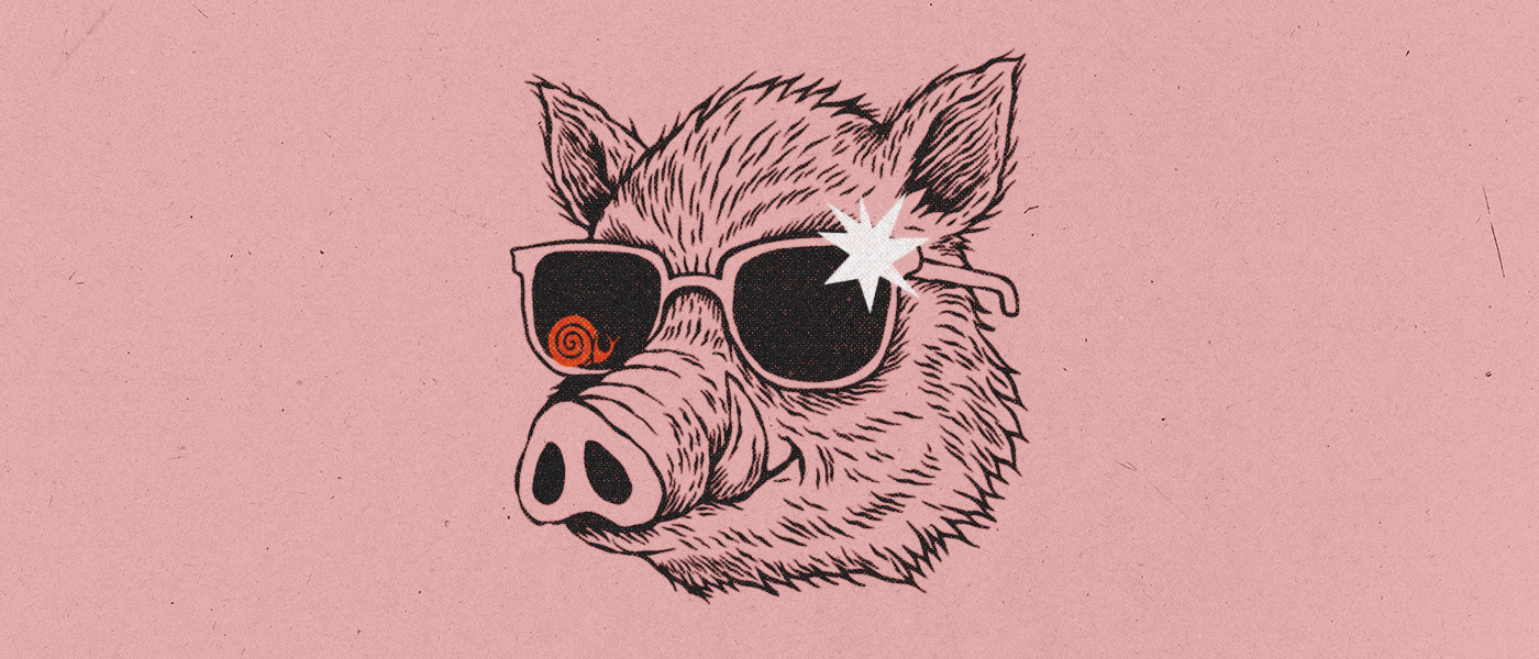 Maiali si nasce, salumi si diventa